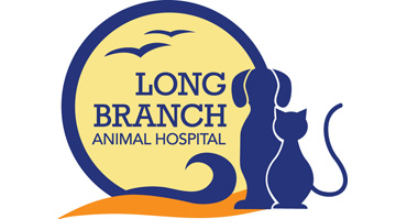 Pier Fest sponsor Long Branch Animal Hospital